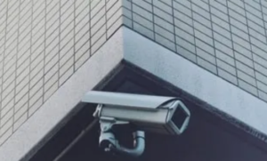 kamera cctv wifi,kamera cctv 5 megapixel,cctv kamera,ip camera 8mp,cctv nirkabel,ip cctv,cctv pengintai mini,kamera kecil untuk cctv,cctv mini jarak jauh,cctv wifi yang bagus,mini ip camera,cctv kecil,cctv 8 megapixel,cctv pengintai,cctv mini yang bisa dipantau lewat hp jarak jauh,kamera jarak jauh android,cctv pake wifi,kamera cctv mini jarak jauh,cctv di rumah,peralatan cctv,cctv wifi murah,hd wireless ip camera,kamera pengawas,cctv pakai hp,camera ip cam,kamera 5 megapixel,cctv online,paket cctv 16 channel,cctv yang bagus,paket cctv murah,kamera cctv outdoor yang bagus,paket kamera cctv,ip camera 4mp,cctv kecil murah,cctv murah,ip camera 5mp,camera wifi jarak jauh,cctv murah wifi,kamera cctv untuk rumah,cctv paling murah,cctv di hp,paket cctv 8 kamera,paket cctv ip camera,cctv sembunyi,dvr murah,cctv tercanggih,paket cctv wireless,cctv paling bagus,cctv handphone,android ip camera,kamera intai murah,ip camera 4k,paket cctv wireless 8 channel,cctv rumahan,cctv kecil wifi,paket cctv 8 channel,cctv wifi,ip camera zoom 30x,cctv termurah,kamera cctv v380,cctv rumah murah,kamera kecil cctv,ip camera,ip camera 3,cctv wireless jarak jauh,cctv rumah,mini wifi ip camera,cctv model terbaru,paket cctv 2 kamera,kamera pengintai mini jarak jauh,cctv rahasia,dvr ip camera,cctv pakai wifi,cctv yang bisa berputar,kamera pengintai,kamera cctv yang bagus,ip camera view,cctv murah berkualitas,cctv jarak jauh,harga kamera cctv wifi,harga dvr cctv 16 channel, harga 1 set cctv,harga cctv satu set,harga cctv murah untuk rumah,harga ip camera,harga dvr hikvision 8 channel,harga cctv wifi outdoor, harga cctv 4 channel,harga kamera cctv mini wifi,harga dvr cctv 32 channel,harga paket cctv 4 channel, harga kamera cctv wifi,harga cctv online hp, biaya pasang cctv online,jual cctv online, harga cctv wifi outdoor,harga kamera cctv indoor,harga cctv wifi,harga cctv kecil tersembunyi, harga paket cctv 8 channel,harga dvr cctv 8 channel, harga cctv 1 paket,jual beli cctv,harga paket cctv 2 kamera,jual dvr cctv,harga sisi tv,cctv wifi terbaik,harga cctv di purwokerto,harga cctv rumah,harga pasang cctv di rumah, harga pasang cctv,harga kamera cctv full hd,jual cctv, harga pasang cctv 4 kamera,harga pasang cctv,harga cctv outdoor, jual dvr cctv,harga dvr 16 channel, harga dvr cctv, harga cctv murah untuk rumah, harga dvr cctv 32 channel, harga kamera cctv mini, harga cctv wifi smart net camera,harga dvr cctv,biaya pasang cctv,harga pasang cctv 1 kamera, harga cctv mini, jual cctv wifi, harga pasang cctv 1 kamera, harga paket cctv 4 kamera,jual kamera cctv mini,harga cctv mini termurah, daftar harga cctv,harga cctv mini murah,harga paket cctv 6 kamera,biaya pasang cctv rumah,harga cctv rumahan,harga cctv tanpa kabel jarak jauh,jual camera cctv, harga kamera cctv outdoor, harga cctv indoor, jual cctv, jual kamera cctv mini,jual cctv terdekat,harga cctv tanpa kabel,harga dvr 8 channel,harga cctv wifi jarak jauh, harga cctv ip camera, harga cctv online hp, harga pasang cctv murah,harga camera cctv wifi,harga cctv termurah,harga cctv kecil,jual ip camera,cctv semarang,harga cctv mini wifi,harga kamera cctv kecil,harga kamera kecil pengintai,harga cctv wireless,harga kamera cctv mini, harga ip camera,harga cctv ip camera outdoor, jual cctv terdekat,harga cctv pekanbaru,harga cctv surabaya, harga kamera cctv full hd,cctv kecil untuk hp,cctv outdoor murah,paket cctv 4 kamera,cctv rumah online,ip camera 2,camera cctv wifi,kamera pengintai android jarak jauh,cctv ip murah,cctv paket 4 kamera,paket cctv outdoor,kamera cctv kecil murah,ip camera murah,cctv bergerak,kamera pengintai android,cctv pasang,cctv wireless murah,cctv terbaru,ip camera cctv,perangkat cctv,cctv ip camera murah,cctv jarak jauh dengan android,cctv 180 derajat,kamera cctv,kamera cctv jarak jauh,kamera keamanan,paket cctv wireless 4 channel,paket cctv rumah,kamera cctv ip,cctv kecil untuk rumah,cctv wireles,cctv untuk kebun,cctv harga murah,hd ip camera,cctv outdoor yang bagus,paket cctv 4 channel,kamera cctv tersembunyi,camera ip 5mp,cctv online murah,cam cctv,ip surveillance camera,cctv v380 wifi camera,camera cctv,cctv yang bagus untuk rumah,cctv canggih,cctv monitor di hp,cctv besar,paket cctv,ip camera wifi,cctv jarak jauh android,ip camera wifi outdoor,cctv mini,ip camera 4,kamera pengawas mini,ip camera cctv wifi,kamera rumah,harga cctv 2 kamera, harga dvr cctv 12 channel, harga cctv 4 kamera,harga kamera cctv outdoor,harga cctv murah,harga cctv wireless jarak jauh, biaya cctv,harga kamera pengintai,harga cctv lengkap,cctv harga, harga cctv rumahan,cctv yang bisa dipantau lewat hp jarak jauh, harga cctv 8 kamera,harga cctv infrared, harga kamera cctv mini wifi,cctv terbaik,jual paket cctv, harga paket cctv 6 kamera,harga cctv di malang,cctv makassar, harga cctv komplit, harga dvr cctv 16 channel,harga cctv untuk rumah, harga cctv 16 channel,harga kamera cctv murah,harga kamera cctv 5mp,jual cctv wireless, harga kamera cctv murah,harga cctv 8 kamera,harga cctv 8 channel, harga paket cctv, harga cctv outdoor,harga kamera mini pengintai,harga cctv 1 paket,harga cctv mini yang bisa dipantau lewat hp, harga cctv wireless jarak jauh, jual cctv online, harga cctv rumah,harga cctv online,harga pasang cctv 2 kamera,agen cctv,harga paket cctv 8 channel, harga kamera pengintai,harga cctv indoor, harga pasang cctv di rumah,biaya pasang cctv online,harga cctv mini android,harga pasang cctv rumah, harga cctv 2 kamera,kamera cctv hikvision,harga cctv semarang,harga cctv online android,harga dvr cctv 4 channel,harga 1 set cctv,harga cctv wifi smart net camera, harga kamera mini pengintai, harga pasang cctv rumah, harga cctv mini termurah, biaya pasang cctv rumah,harga paket cctv,cctv surabaya, harga kamera cctv wireless,cctv palembang, harga kamera cctv, harga cctv, harga cctv online,jual cctv murah, harga dvr 8 channel,harga cctv paling murah,cctv banda aceh,harga dvr 4 channel,harga kamera cctv wireless,harga pasang cctv murah, jual beli cctv, jual paket cctv, harga cctv wifi jarak jauh,harga cctv ip camera,harga kamera cctv,jual kamera cctv,harga cctv 4 kamera,harga cctv 1 set, jual cctv wireless, harga paket cctv 4 channel,biaya pasang cctv di rumah,cctv tanpa kabel,jual cctv wifi,harga cctv mini, harga cctv mini murah,harga cctv, biaya pasang cctv, jual cctv murah, harga cctv paling murah,harga cctv yang bisa dipantau lewat hp jarak jauh, harga cctv ip camera outdoor, harga dvr cctv 4 channel, harga cctv mini wifi, harga kamera kecil pengintai,kamera tersembunyi,kamera cctv tanpa kabel,biaya cctv,harga cctv 4 channel,harga cctv wifi murah,cctv distributor, harga cctv 1 set,jual kamera cctv kecil, jual ip camera, jual camera cctv, harga dvr 16 channel, biaya pasang cctv di rumah,harga cctv makassar,berapa biaya pasang cctv,jual cctv mini,daftar harga cctv, harga cctv untuk rumah,harga cctv satu paket,harga cctv komplit, harga dvr 4 channel, jual cctv mini, harga cctv murah,harga cctv mini yang bisa dipantau lewat hp jarak jauh,harga cctv bandung, harga kamera cctv indoor,cctv bandung, harga camera cctv wifi, harga pasang cctv 2 kamera, harga cctv kecil,harga cctv 16 channel, harga cctv 8 channel,ip cam outdoor wifi,smart wireless ip camera,kamera cctv kecil,cctv lewat hp,paket cctv 4 camera,kamera intai mini murah,dvr cctv wifi,cctv perumahan,ip camera recorder,cctv bagus,cctv hp jarak jauh,kamera pengintai lewat hp,cctv mini murah,dvr cctv murah,cctv terdekat,wifi camera hd wireless ip camera,kamera cctv murah,security camera system,ip cam cctv,cctv bisa gerak,cctv tersembunyi,cctv portable tanpa wifi,cctv monitoring software,cctv murah kecil,cctv system,jenis2 cctv,merk cctv yang bagus,jenis cctv untuk rumah,jenis jenis kamera cctv,jenis kamera cctv,jenis kamera cctv tersembunyi,perusahaan cctv,jenis dvr cctv,jenis cctv,grosir cctv,merk cctv paling bagus,toko cctv,merk cctv bagus,jenis2 kamera cctv,jenis jenis cctv,jenis cctv wireless,macam2 cctv,macam2 kamera cctv,merk cctv terbaik,toko cctv terdekat,toko cctv di malang, harga kamera cctv kecil,harga paket cctv 4 kamera,harga dvr cctv 12 channel, jual kamera cctv kecil, harga cctv online android, harga paket cctv 2 kamera, harga cctv wifi murah, harga cctv infrared,harga cctv rumah murah, harga cctv wireless, harga kamera cctv 5mp,harga cctv di solo,harga paket cctv murah,harga cctv mini tanpa kabel,kamera cctv mini, harga dvr cctv 8 channel, harga cctv wifi, harga cctv satu set,harga cctv yang bisa dipantau lewat hp, harga cctv mini android,harga pasang cctv 4 kamera, harga cctv termurah, harga cctv satu paket,harga cctv jogja, harga cctv kecil tersembunyi,harga pasang cctv 4 titik, harga cctv rumah murah, harga paket cctv murah,harga cctv lengkap dengan dvr, jual kamera cctv,cctv untuk rumah,cctv tegal,cara memasang cctv,pasang cctv terdekat,paket pasang cctv rumah,memasang cctv,pasang cctv di rumah,paket pasang cctv,pasang cctv wireless,beli cctv murah,cctv bantul,jasa pasang cctv surabaya,pasang cctv online,pasang cctv harga,pasang cctv sendiri di rumah,pasang cctv,pasang cctv rumah,instalasi cctv,pemasangan cctv,pasang kamera cctv,cctv jogja,cctv purworejo,distributor cctv,pasang cctv murah,cctv kudus,cctv tangerang,jasa pasang cctv,cctv purwokerto,cctv sidoarjo,pasang camera cctv,cctv gresik,cctv magelang